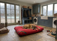 Load image into Gallery viewer, CLEARANCE : BESPOKE, 150 X 101 cm Durasoft Dark Red Orthopaedic Mattress Dog Bed