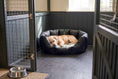 Load image into Gallery viewer, (Easy Access Black with By The Sea)