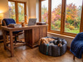 Load image into Gallery viewer, (Full Nest Black with Navy Dog Dryer)