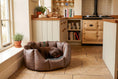 Load image into Gallery viewer, (Easy Access Chocolate with Grey Dog Dryer)
