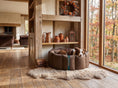 Load image into Gallery viewer, (Full Nest Chocolate with Brown Dog Dryer)