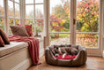 Load image into Gallery viewer, (Easy Access Chocolate with Red Dog Dryer)