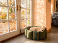 Load image into Gallery viewer, (Full Nest Dark Olive with Grey Dog Dryer)