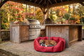 Load image into Gallery viewer, (Easy Access Dark Red with Grey Dog Dryer)