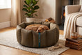 Load image into Gallery viewer, (Full Nest Chocolate with Brown Dog Dryer)