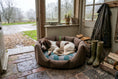 Load image into Gallery viewer, (Easy Access Chocolate with Wild Storm)