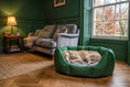 Load image into Gallery viewer, (Easy Access Emerald Green with Grey)