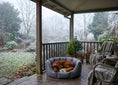 Load image into Gallery viewer, (Easy Access Grey with Paw Print)