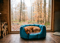 Load image into Gallery viewer, (Easy Access Teal with Red Swift)
