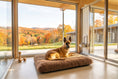 Load image into Gallery viewer, CLEARANCE : EXTRA LARGE, 140 x 92 cm Fluffy Tuffie in Brown