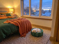 Load image into Gallery viewer, CLEARANCE : Small, Full Wipe Clean Green Nest with Caramel Paws