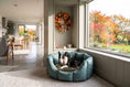 Load image into Gallery viewer, (Easy Access Grey with Brown Dog Dryer)