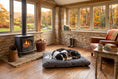 Load image into Gallery viewer, (Grey with White Paws)