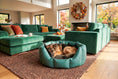Load image into Gallery viewer, (Easy Access Green with Brown Dog Dryer)