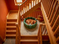 Load image into Gallery viewer, (Full Nest Green with Paw Print)