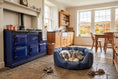 Load image into Gallery viewer, (Easy Access Navy with Grey Dog Dryer)