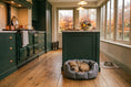 Load image into Gallery viewer, CLEARANCE : Medium, Easy Access Wipe Clean Grey Nest with Zebra
