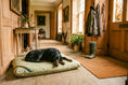 Load image into Gallery viewer, (Sage Dogs)