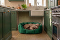 Load image into Gallery viewer, (Easy Access Emerald Green with Brown Dog Dryer)
