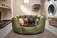 Load image into Gallery viewer, (Easy Access Olive with Brown Dog Dryer)