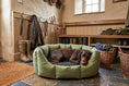 Load image into Gallery viewer, (Easy Access Olive with Grey Dog Dryer)