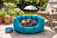 Load image into Gallery viewer, (Easy Access Teal with Brown Dog Dryer)