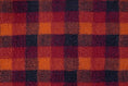 Load image into Gallery viewer, (Autumn Check)