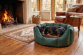 Load image into Gallery viewer, (Easy Access Green with Brown Dog Dryer)