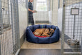 Load image into Gallery viewer, (Easy Access Navy with Red Dog Dryer)
