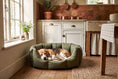 Load image into Gallery viewer, (Easy Access Olive with Sprigs)