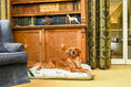 Load image into Gallery viewer, (Sage Dogs)