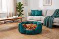 Load image into Gallery viewer, (Easy Access Teal with By The Sea)