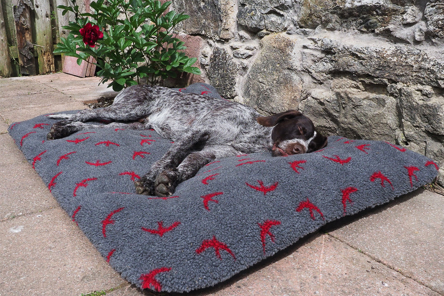 The Travel Dog Bed from Tuffies