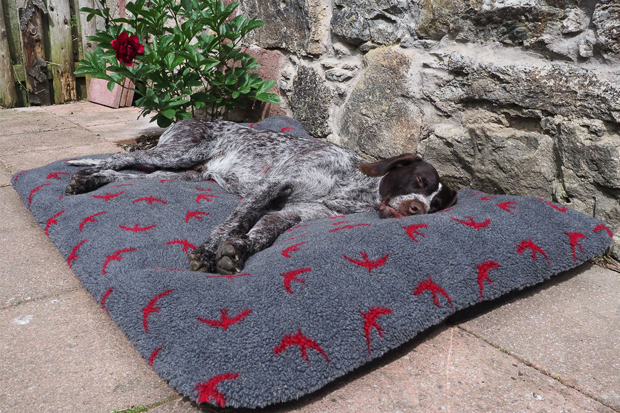 The Travel Dog Bed from Tuffies