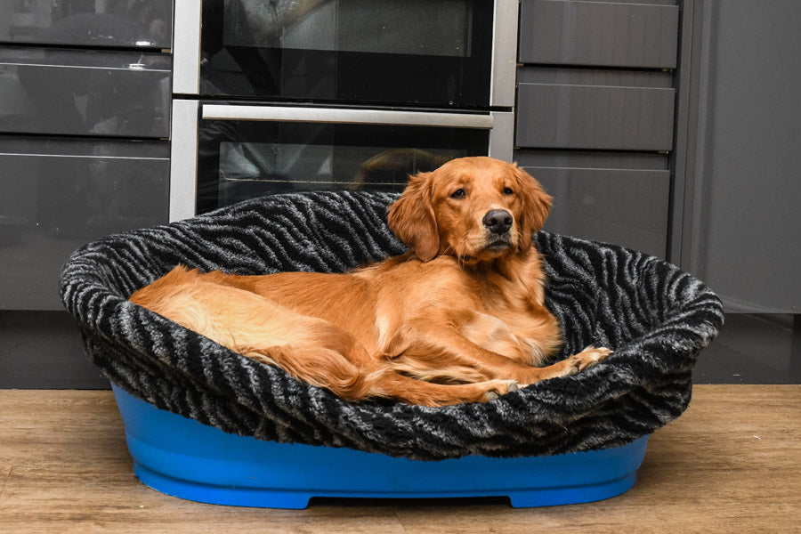How can I make my Dog's Plastic Bed more Comfortable?