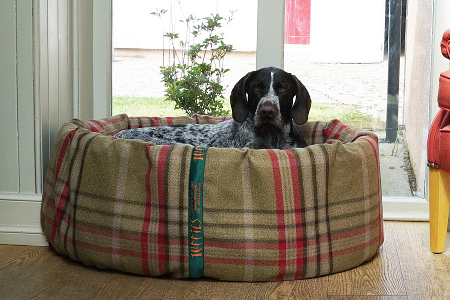 Cosy beds with removable covers that are easy to clean.