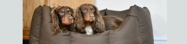 DOG BEDS FOR SHARING