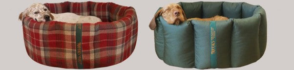 What is the best dog bed for a cold house?