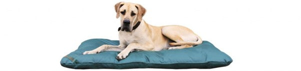 The Easiest Dog Bed to Keep Clean.