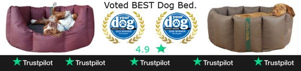 Best Rated Dog Bed