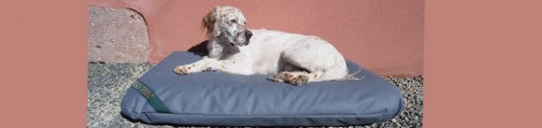 Dog Beds for Large Dogs.