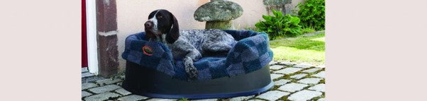 Should I buy a Raised Dog Bed?