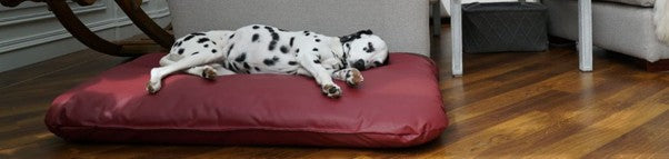 Waterproof Dog Beds for Large Dogs.