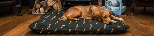 Our Vet Recommends Tuffies Orthopaedic Dog Beds