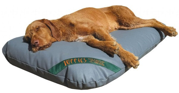 Finding it difficult to find large dog beds that support your dog?