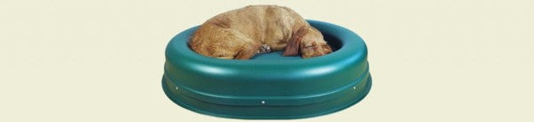Guaranteed Chewproof Dog Beds.