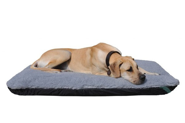 The Best Orthopaedic Dog Beds UK