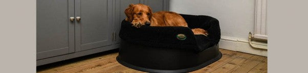 Sofa Dog Bed