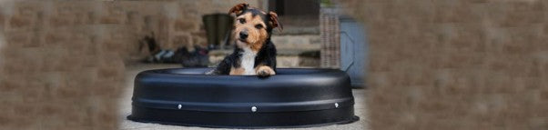 My Dog Chews up Every Dog Bed I give Him. Tuffies Dog Beds are GUARANTEED Chew Proof!