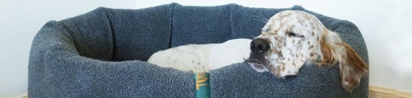 Designer Dog Beds need to be Functional and Dog Friendly.
